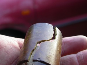 Cracked fork bush